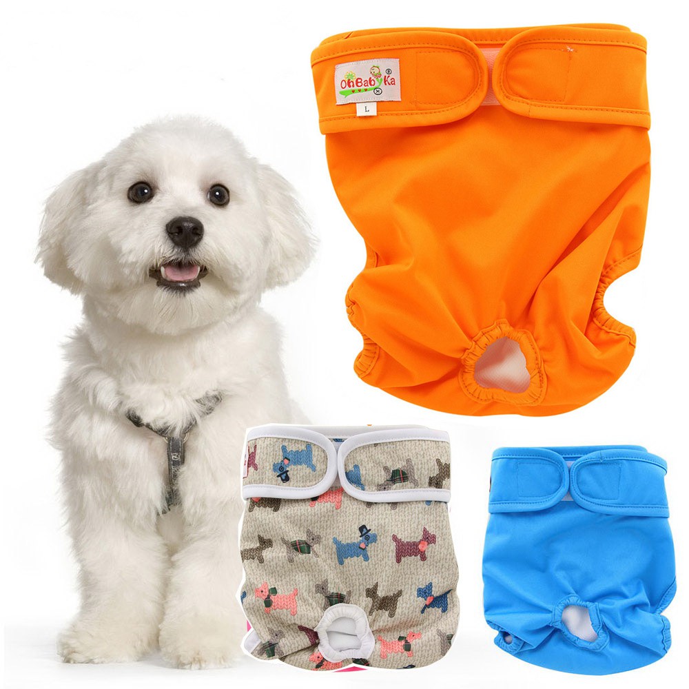 Cheapest hotsell dog diapers