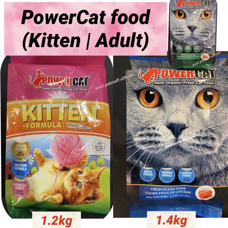 Adult cat outlet food for kittens