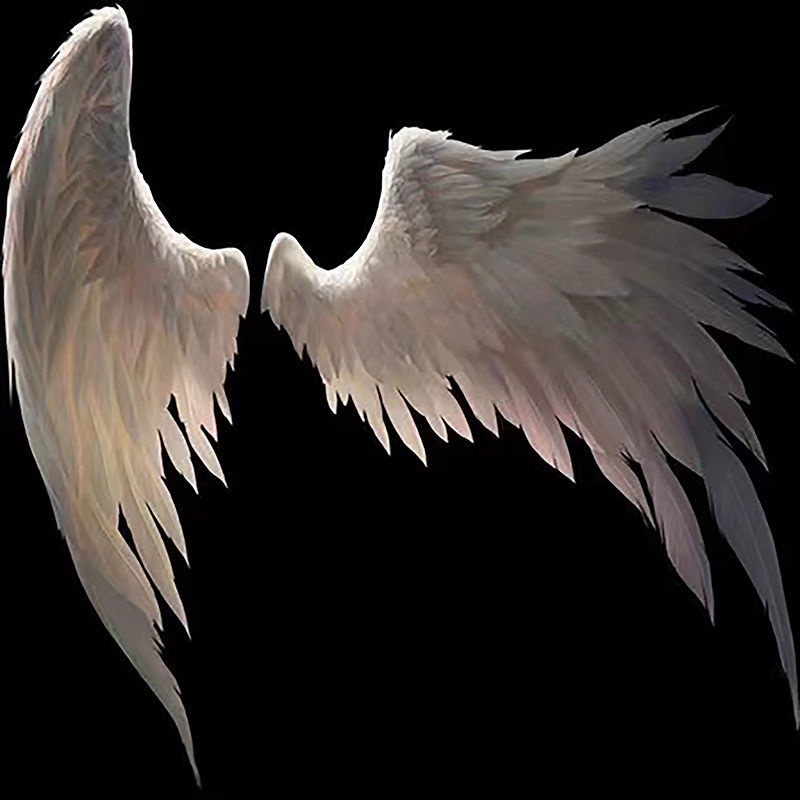 Angel wings. Angel wings performance props travel COS princess children s  catwalk devil swallow feather wings decoration