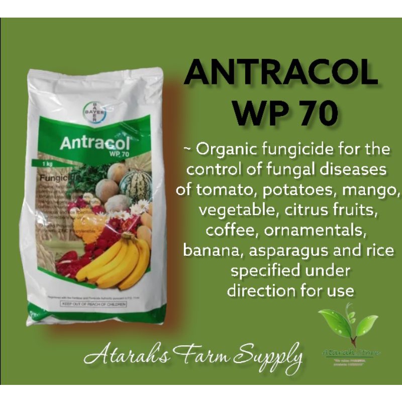 Antracol fungicide on sale