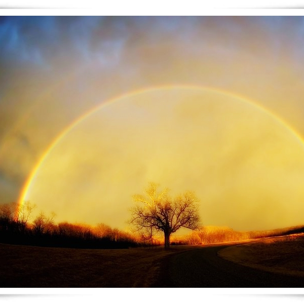 Dream Girl Online Shop, Online Shop Shopee Philippines