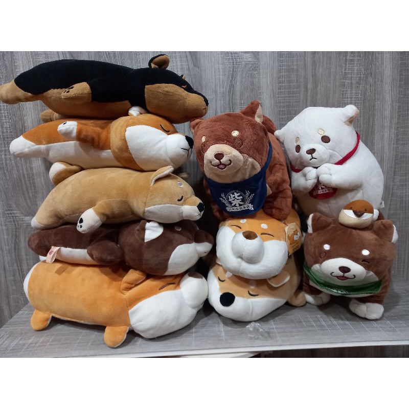 Faithful mochi shiba online