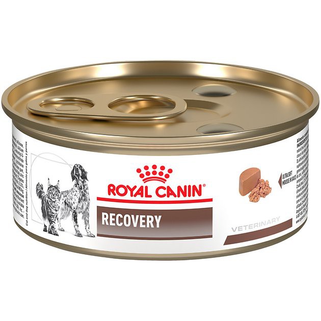 Royal canin shop recovery can