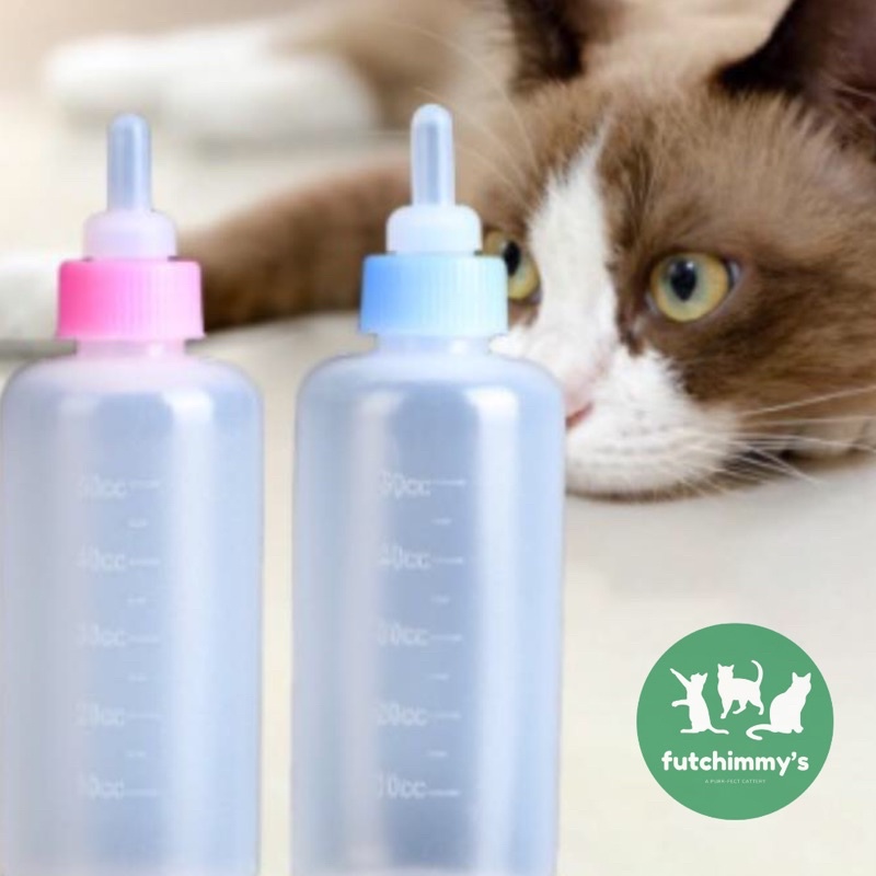 Cat bottle clearance