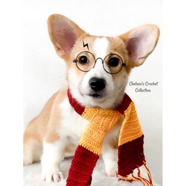 Harry potter 2025 dog scarf