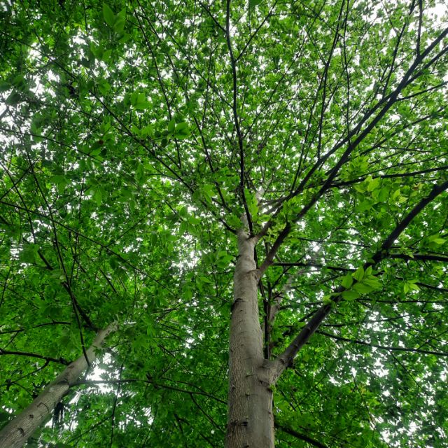 J&N Parts & Accessories, Online Shop Shopee Philippines