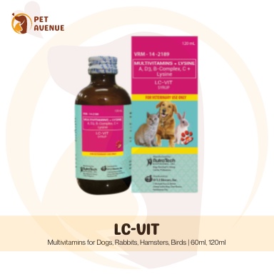 Lc vit 2024 for dogs