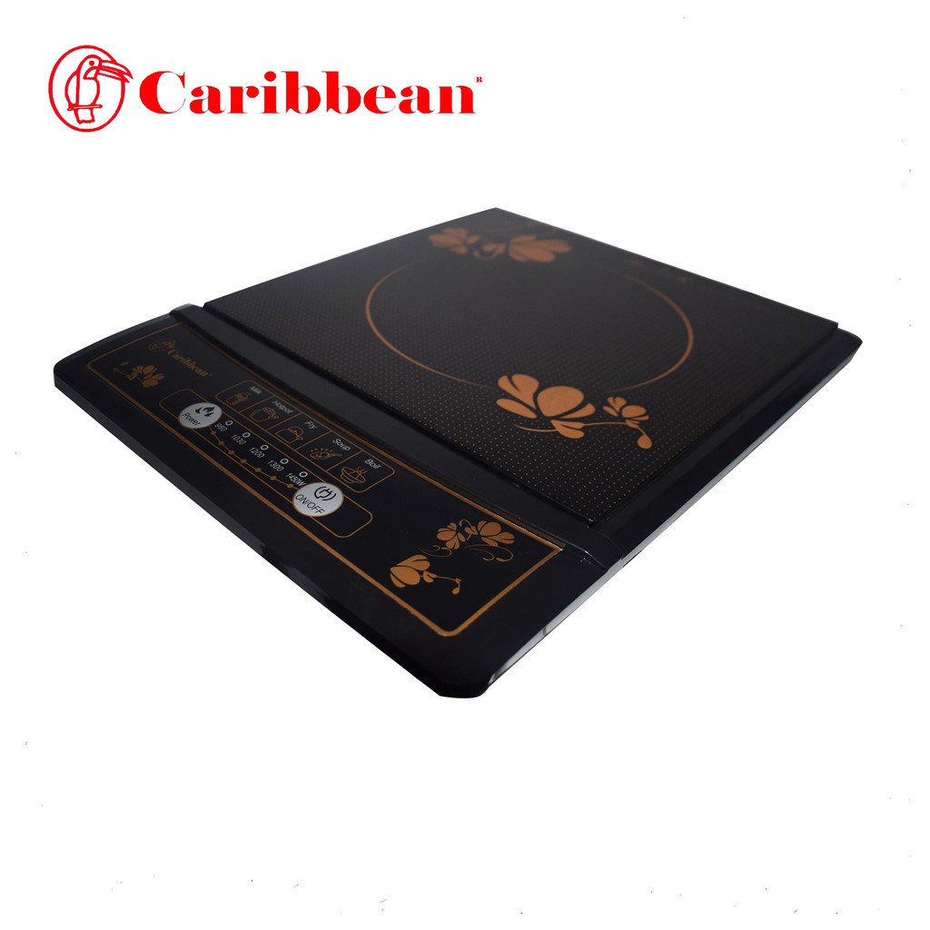 Caribbean induction store cooker