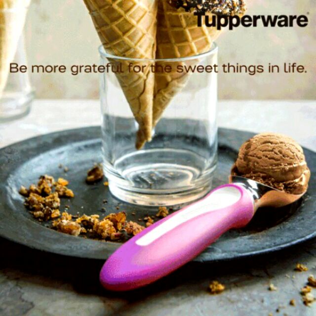 Tupperware Ice Cream Scoop