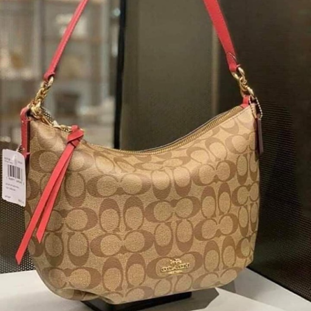 Coach skylar hobo in best sale signature canvas