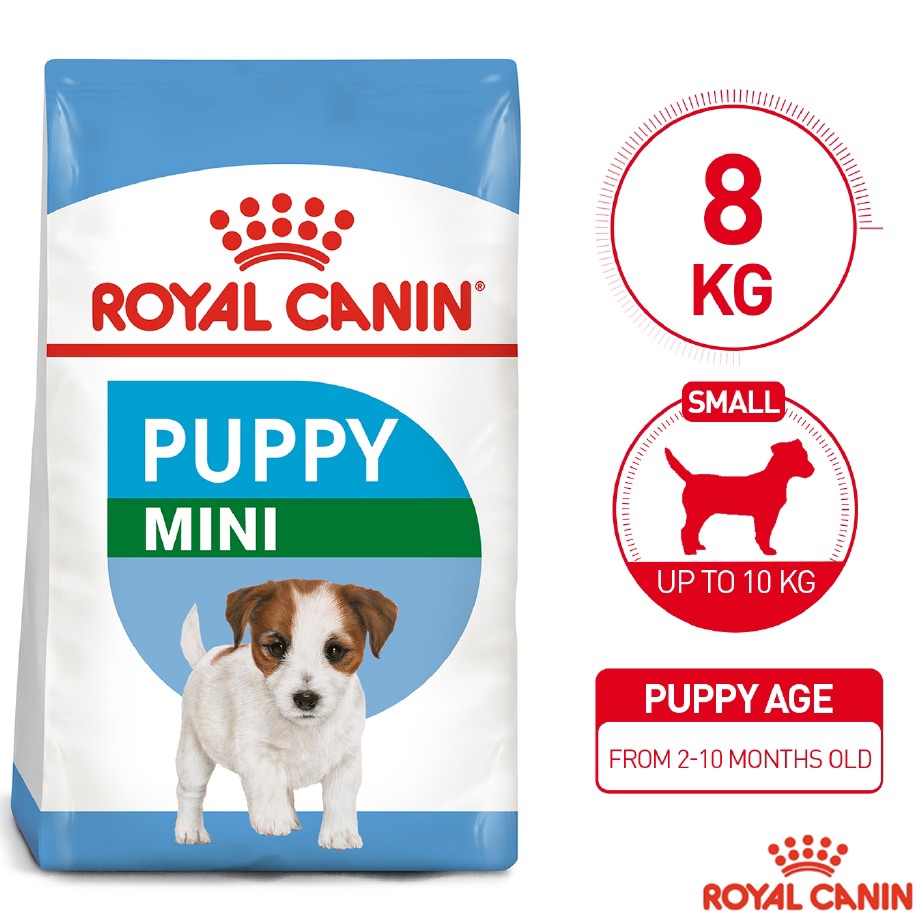 Royal canin junior outlet 8 kg