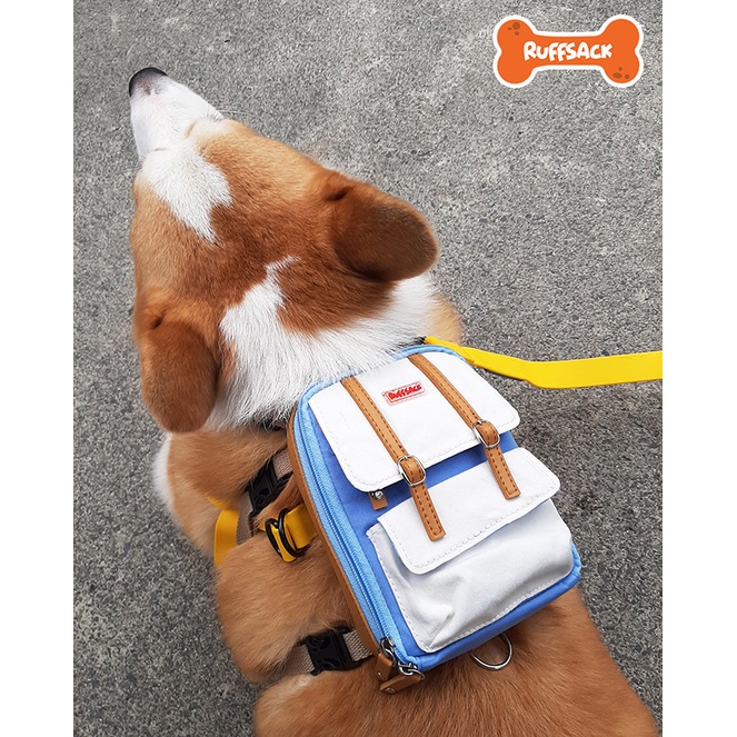 Ruffsack Dog Backpack Dale Medium Shopee Philippines