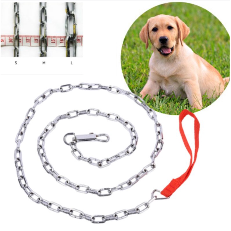 Dog deals chain leash