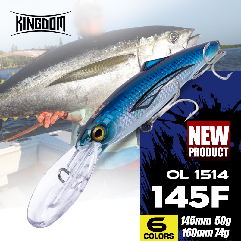 Kingdom Hot Jerkbaits Fishing lures 60mm 6g 80mm 9g 105mm 18.6g Sinking  Minnow lure Hard Baits Good Action Wobblers : : Sports &  Outdoors