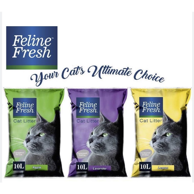 Feline fresh cat litter best sale