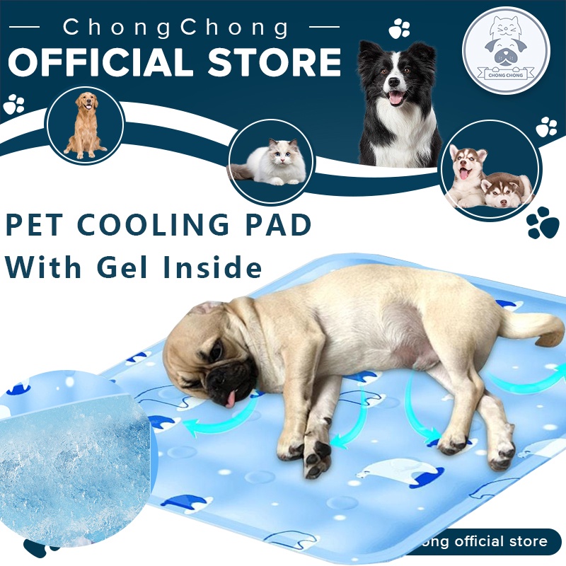 Pooch Pad®Reusable Absorbent Potty Pad LGEA