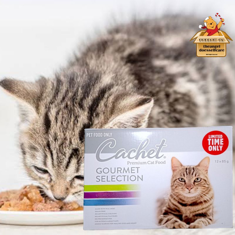 Cachet hot sale cat food