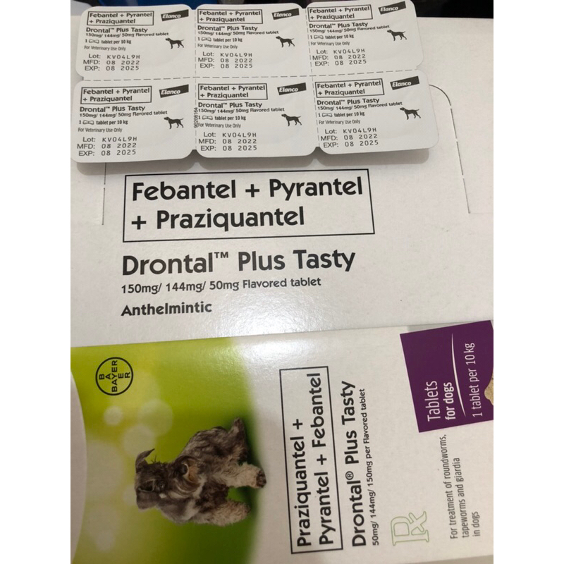 Drontal 2024 plus tasty