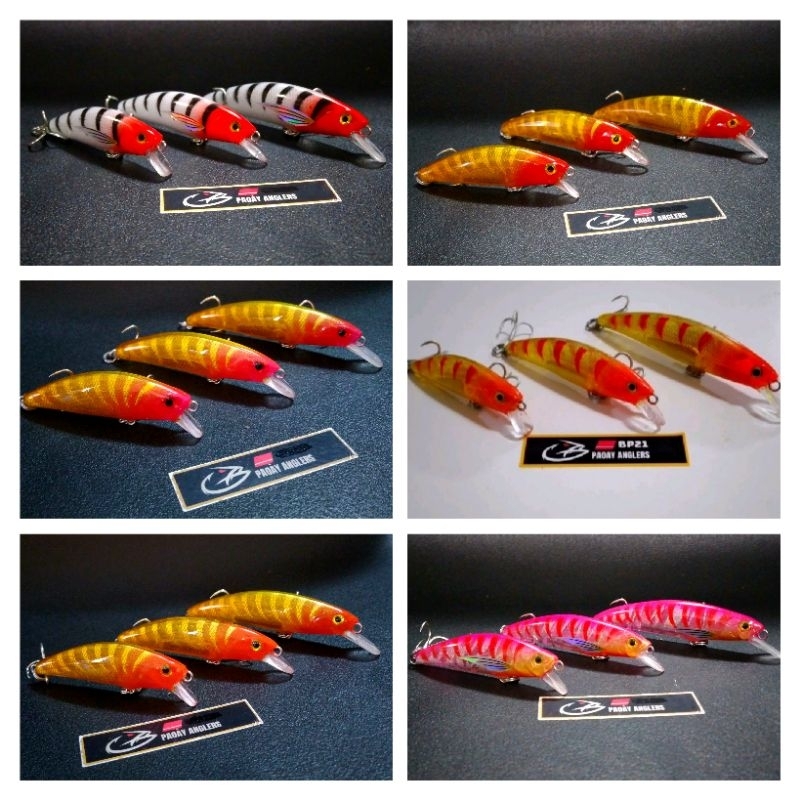 Paoay Tumba (Ghost) Sparkling Body Ghost Shrimp Series.Home/hand  made,hardcoated,upgraded