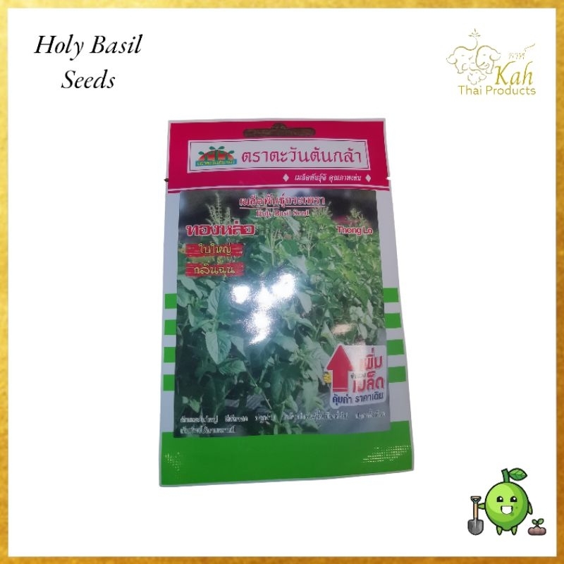 Holy Basil Seed Seeds Thai Herbs Herbs Thai Ingredients