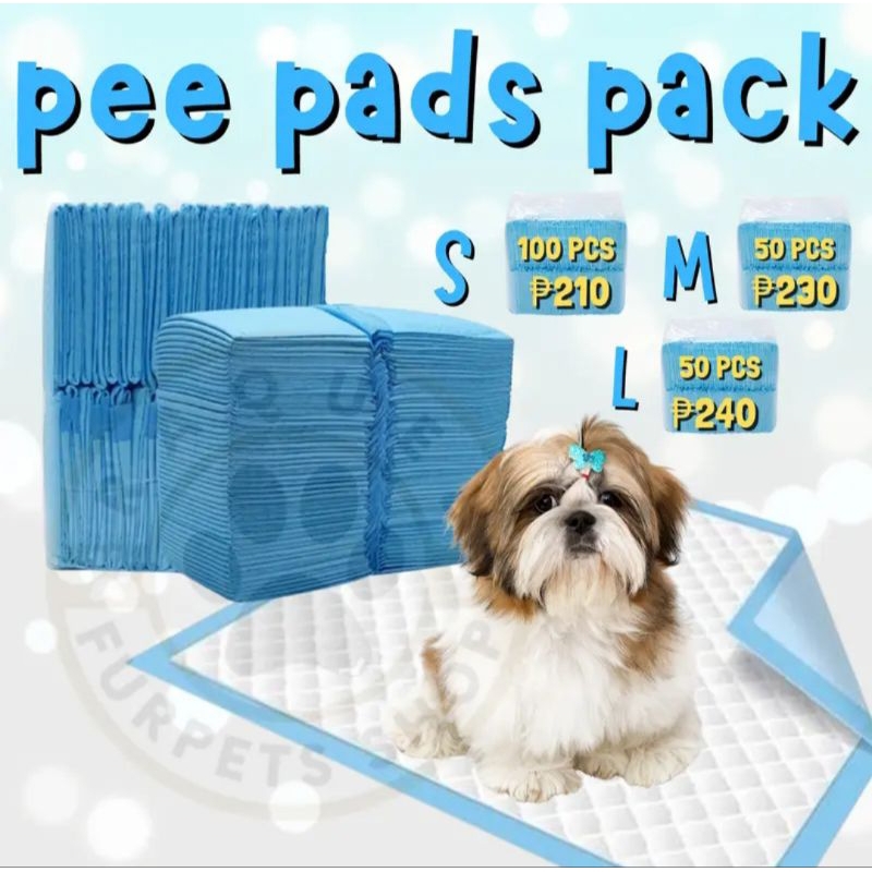 How to train a shih tzu to pee on pad sale