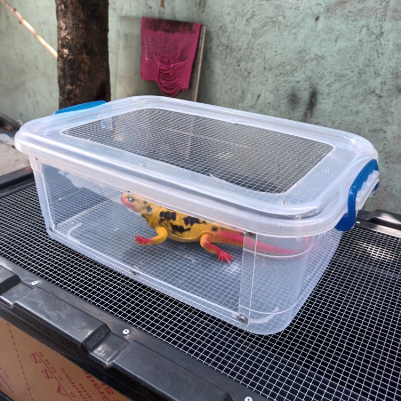 Storage bin clearance hamster cage