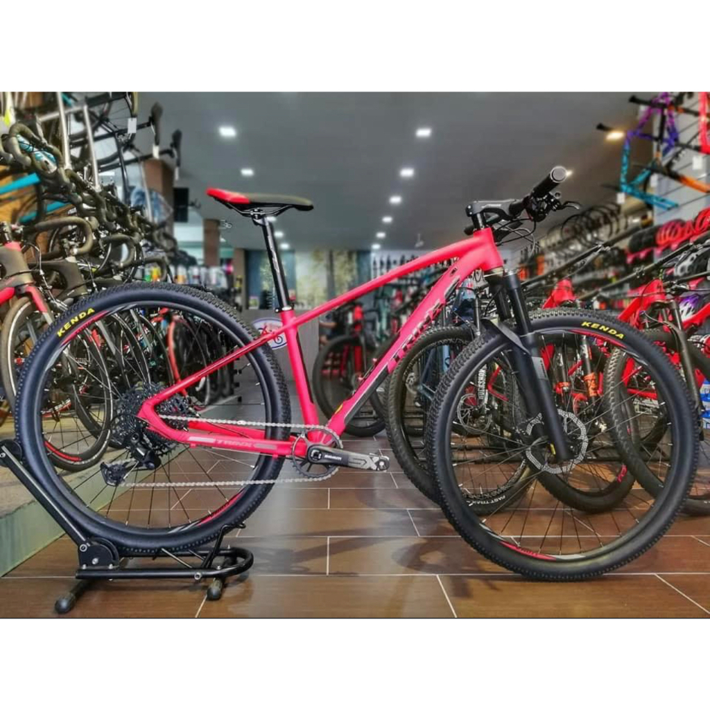 Trinx mountain store bike pink