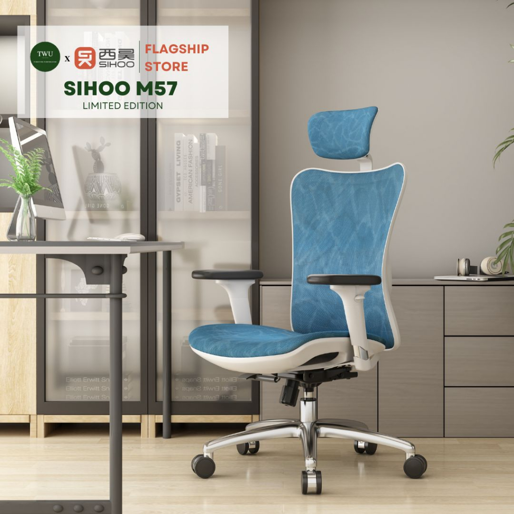 SIHOO M57 Ergonomic Office Chair Desk - (Grey Frame with Grey Mesh