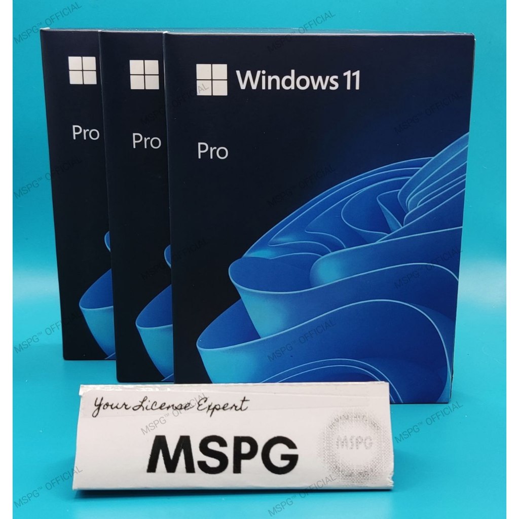 Windows 11 Professional / Home USB FPP Retail Package