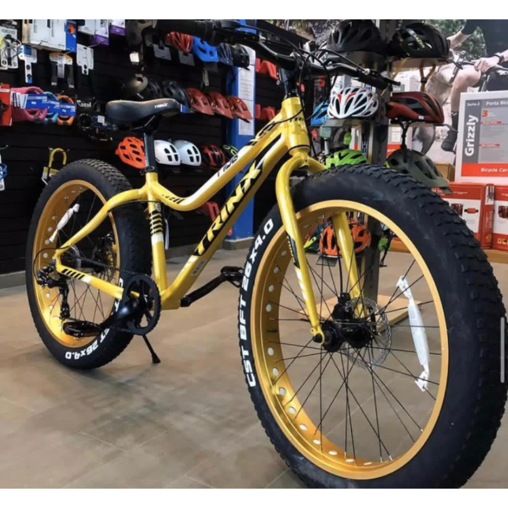 Fat store bike shopee