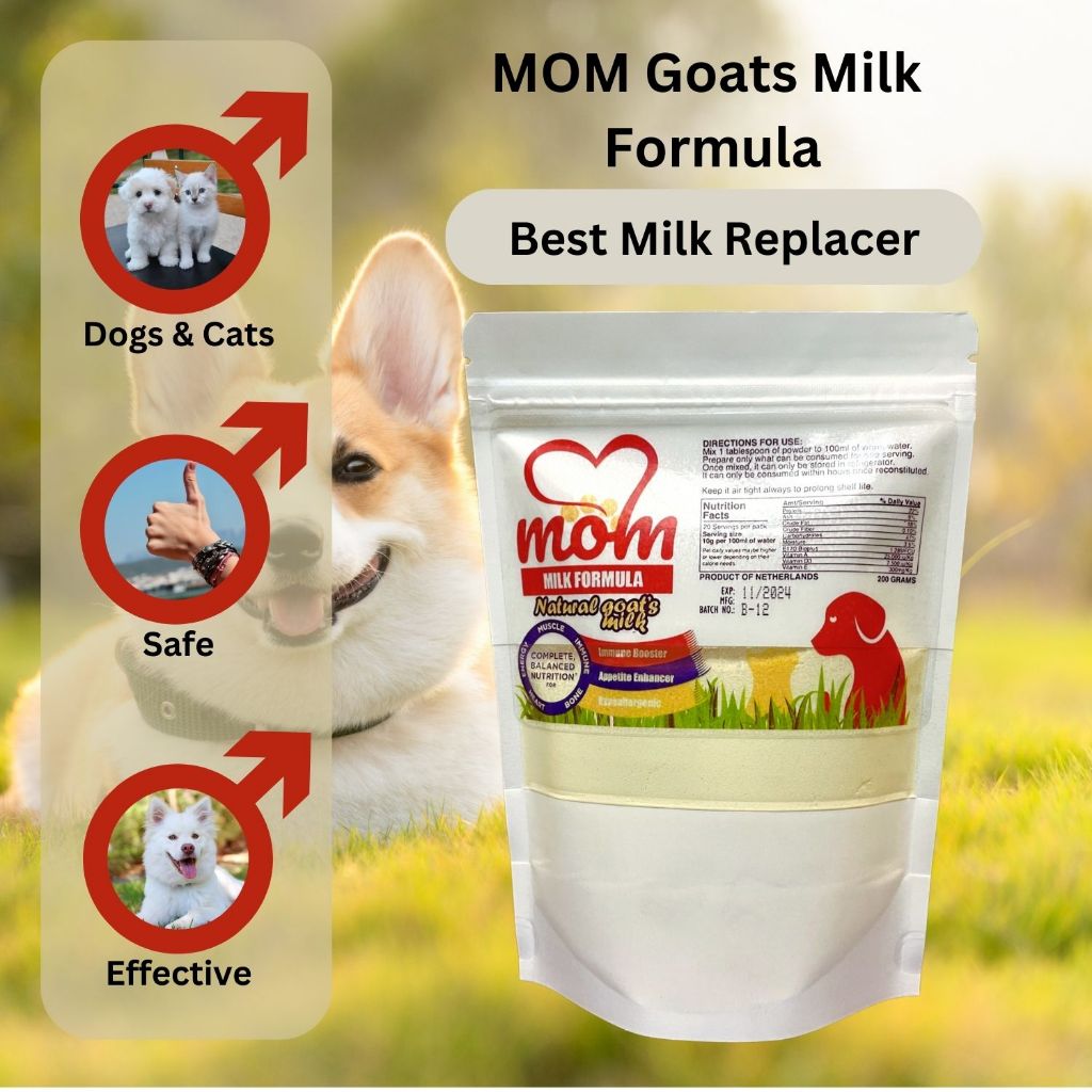 Can i use puppy 2024 milk replacer for kittens