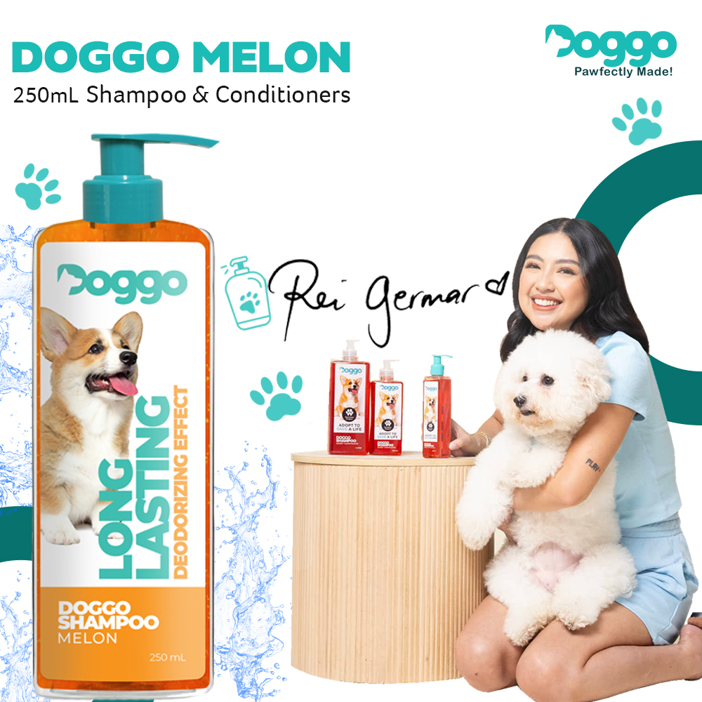 Doggo shop outlet