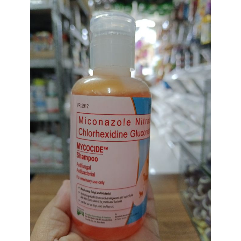 Mycocide shampoo outlet