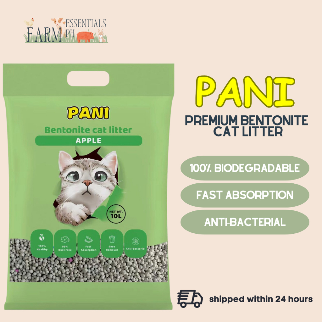 Bentonite cat litter outlet brands