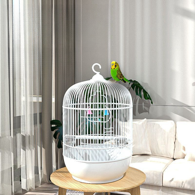 Pet world 2024 bird cages