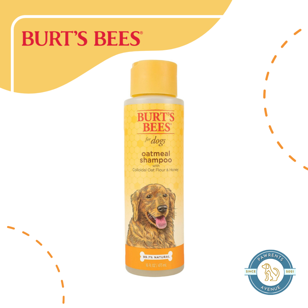 Burt's bees clearance oatmeal shampoo dogs