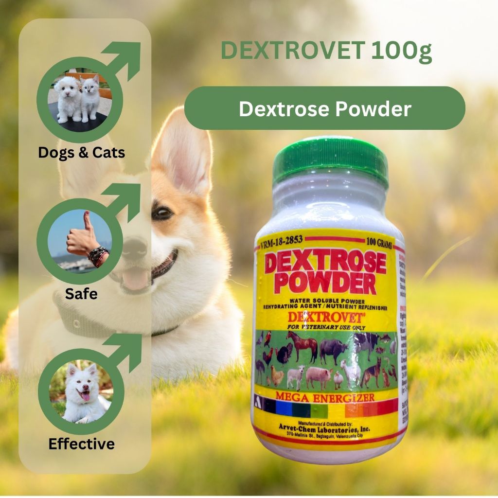 Dextrose powder hot sale for dogs