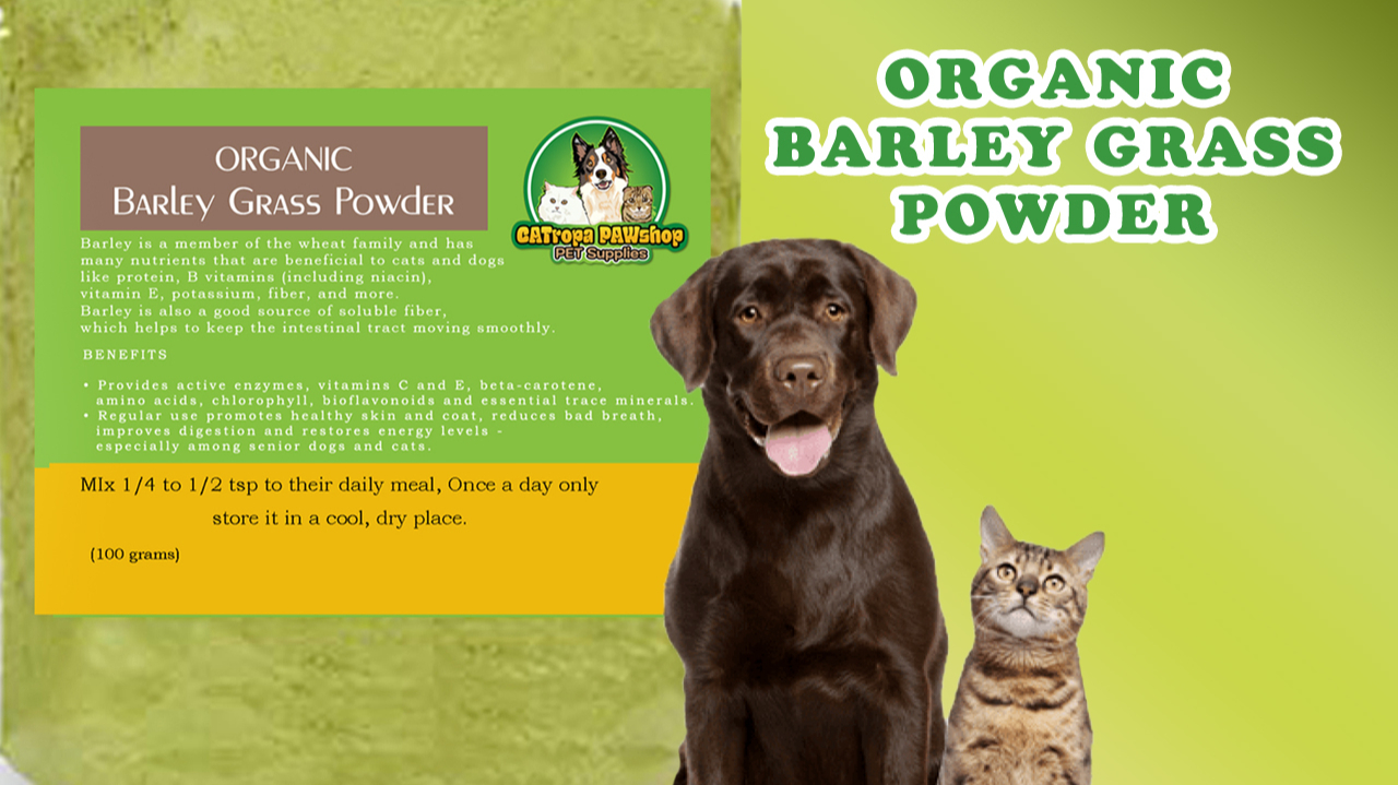 J & J PET SUPPLIES, Online Shop Shopee Philippines