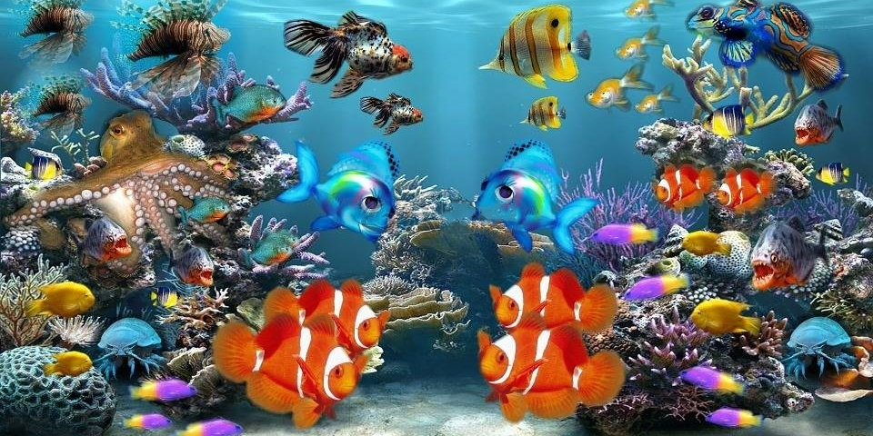 Happy Fish Aquarium, Online Shop | Shopee Philippines