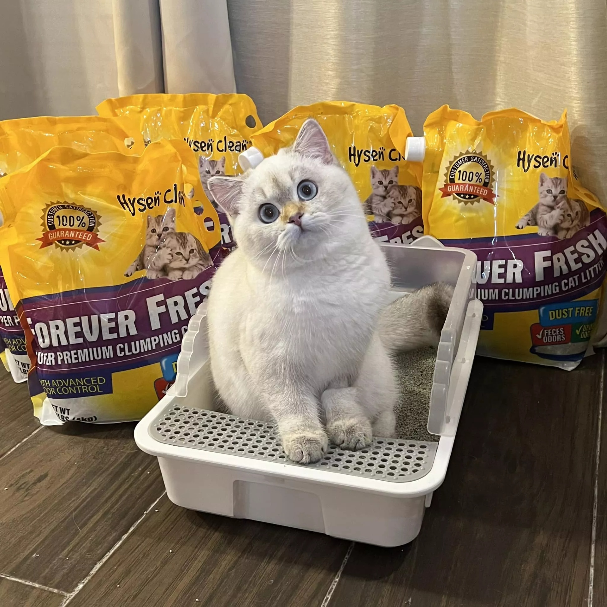 clissora-pets-online-shop-shopee-philippines