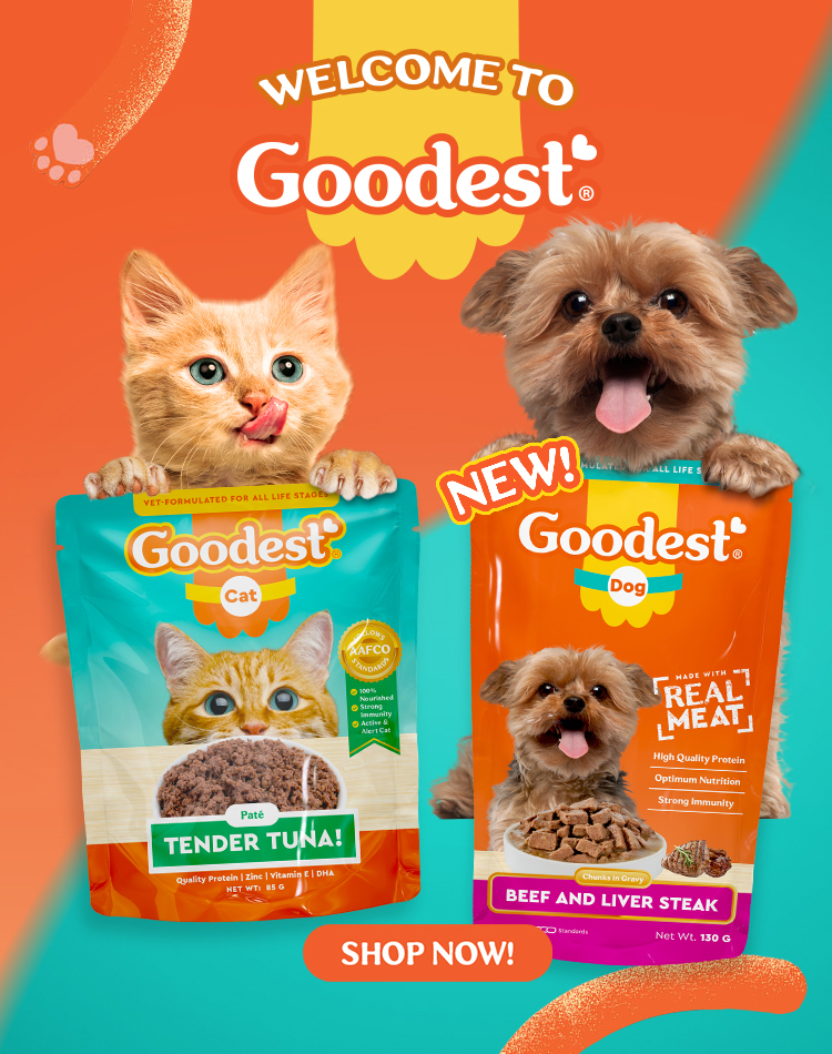 Cat best sale food shopee