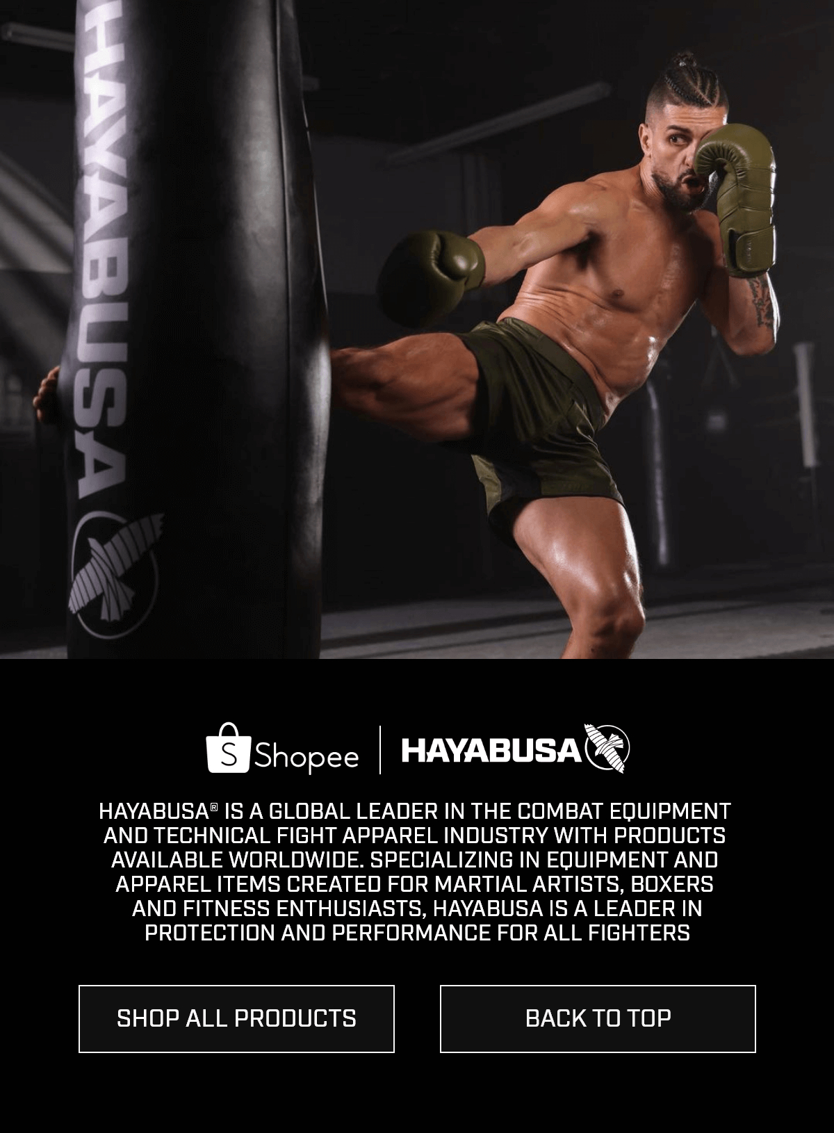 Hayabusa Philippines, Online Shop | Shopee Philippines