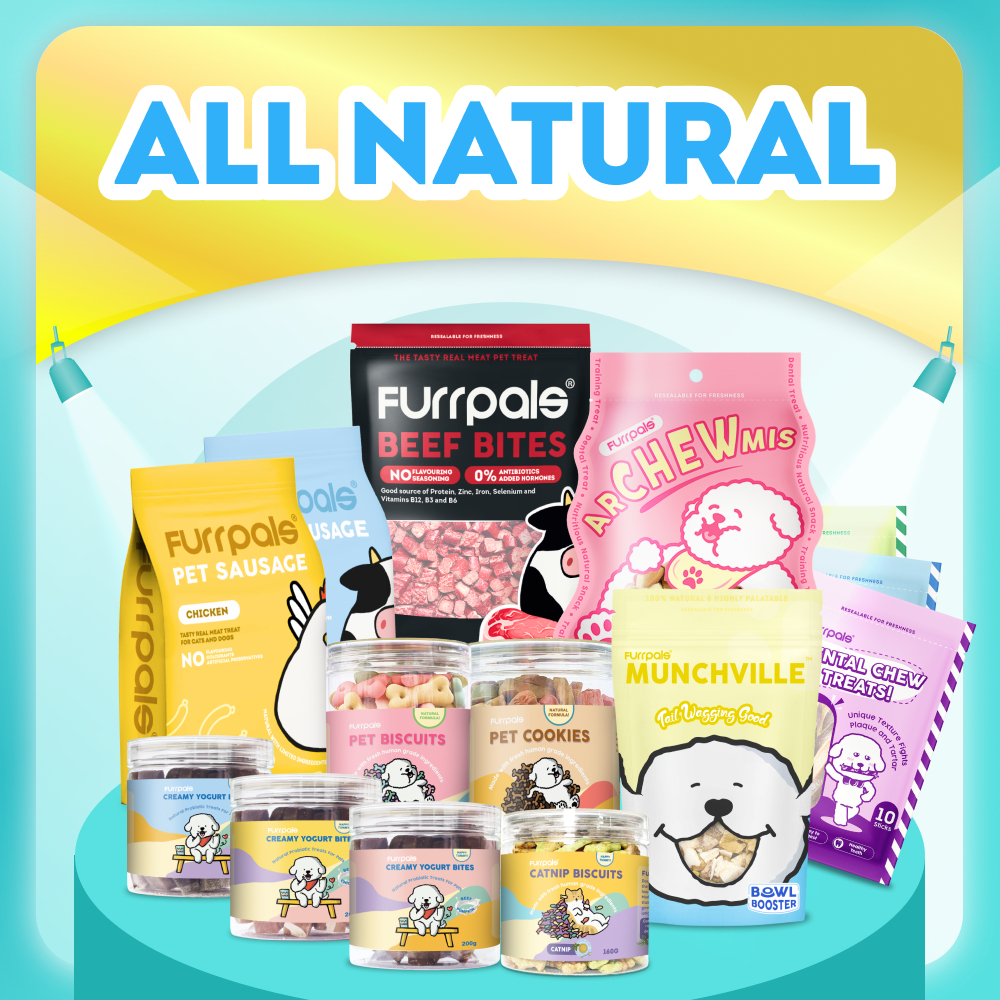 petcore.ph, Online Shop | Shopee Philippines