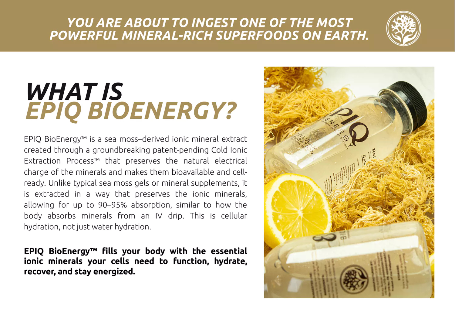Epiq Superfoods Inc., Online Shop | Shopee Philippines