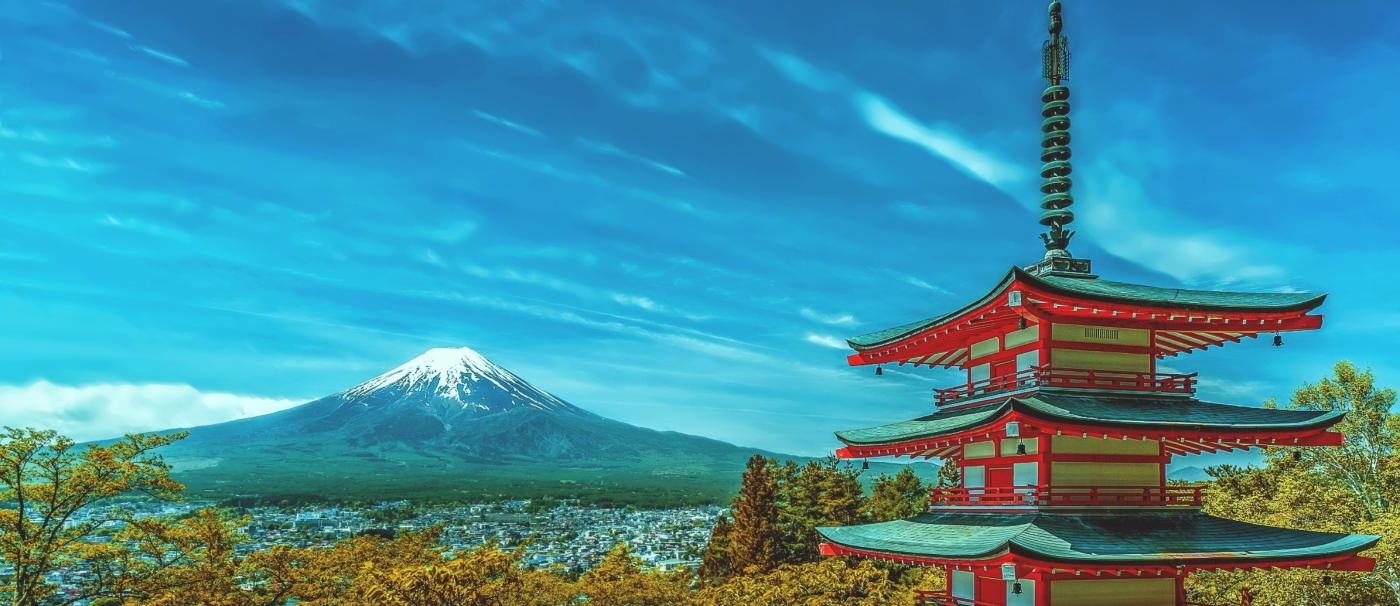 MEDULLA JAPAN, Online Shop | Shopee Philippines