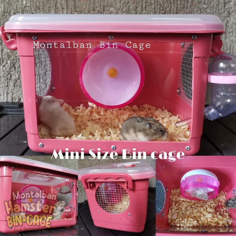 Syrian hamster 2024 bin cage