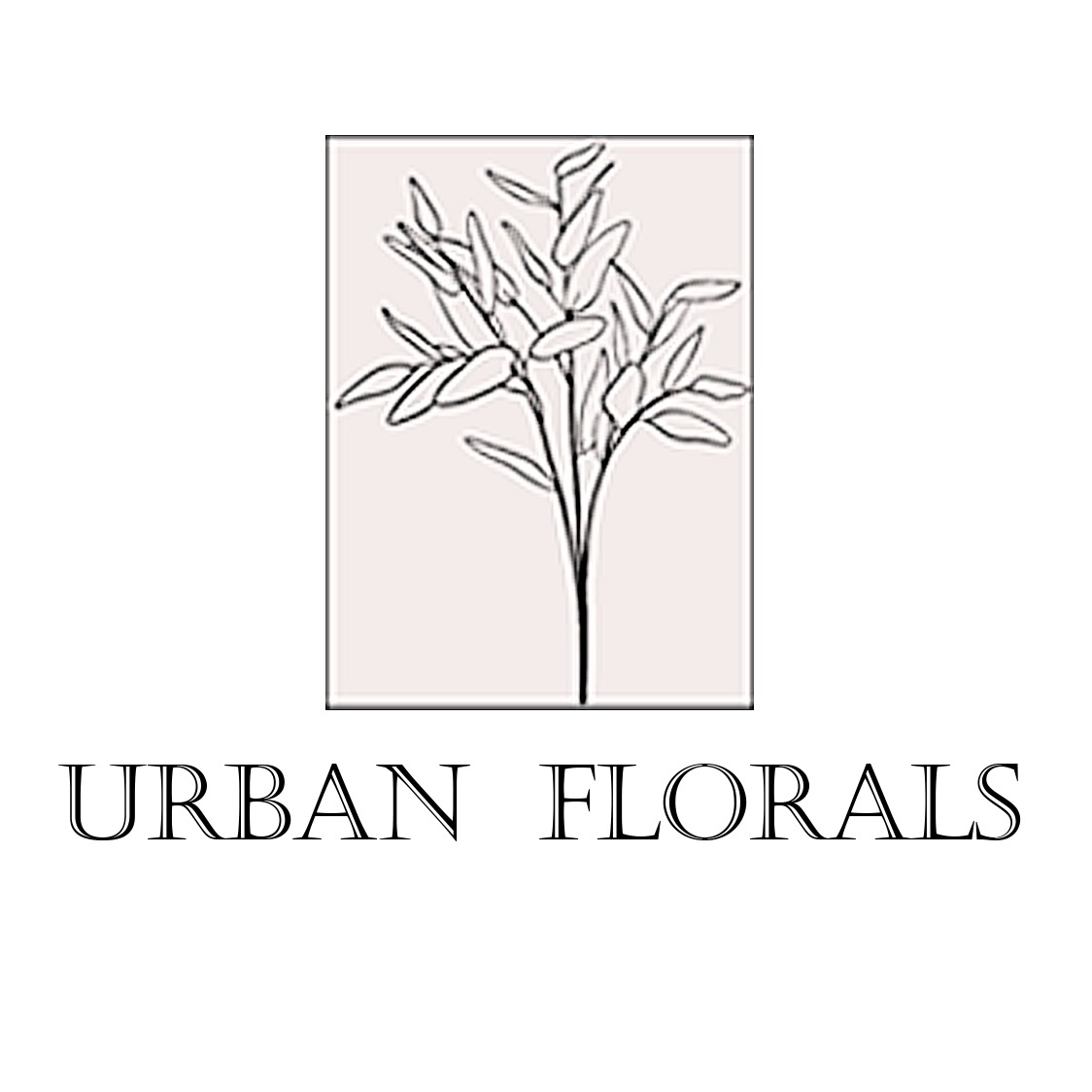 UrbanFlorals Dried Flower shop, Online Shop Shopee Philippines