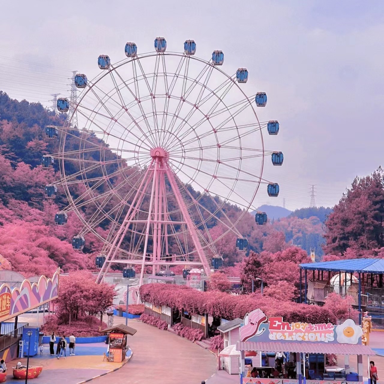 Ferris wheel store, Online Shop Shopee Philippines