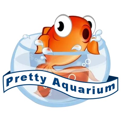 Pretty Aquarium, Online Shop | Shopee Philippines