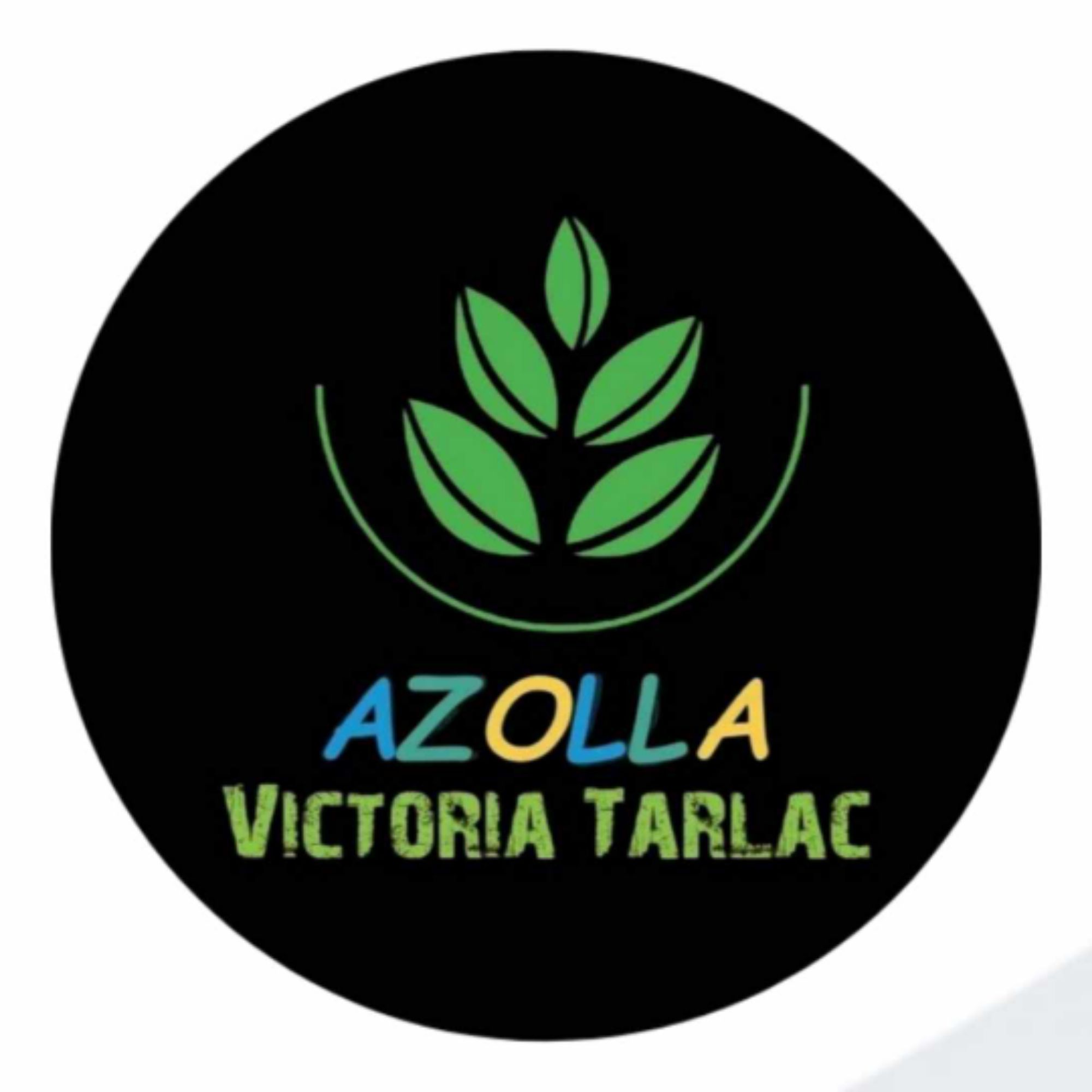 1210 AZOLA, Online Shop | Shopee Philippines